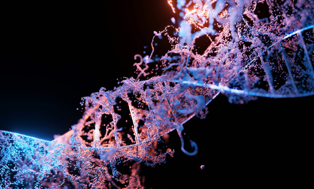 Step by Step Process in DNA Sequencing: A Detailed Guide with Examples