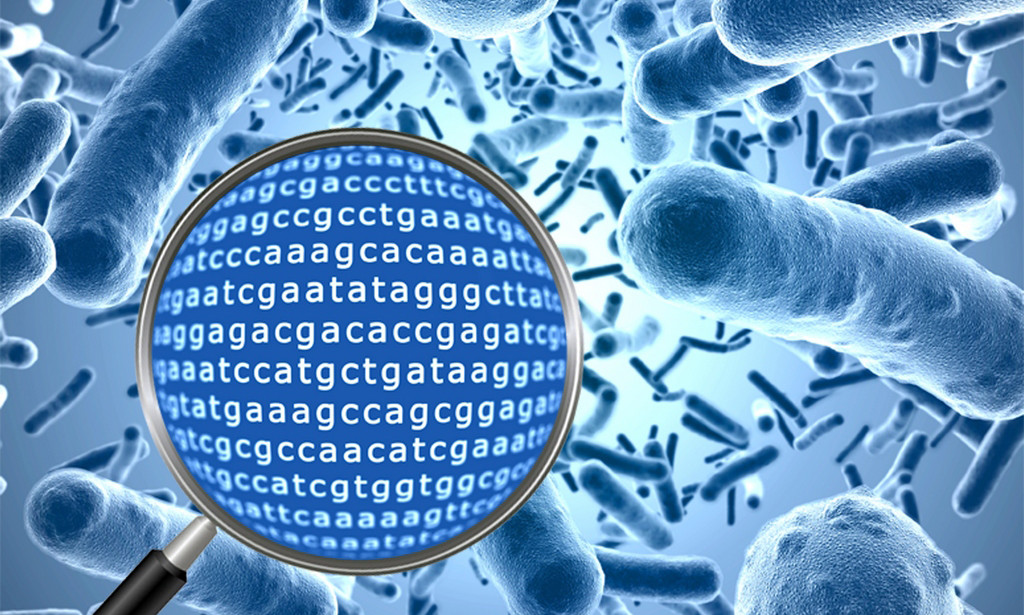 Cracking the Code of Life's Microcosm: Bioinformatics in Metagenomics